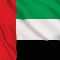 Dubai Flag
